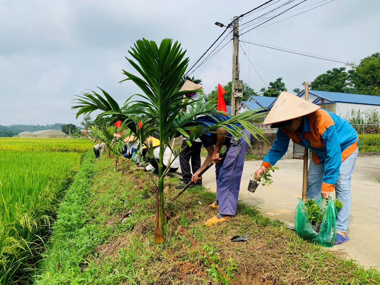 dinh hoa 3.jpg